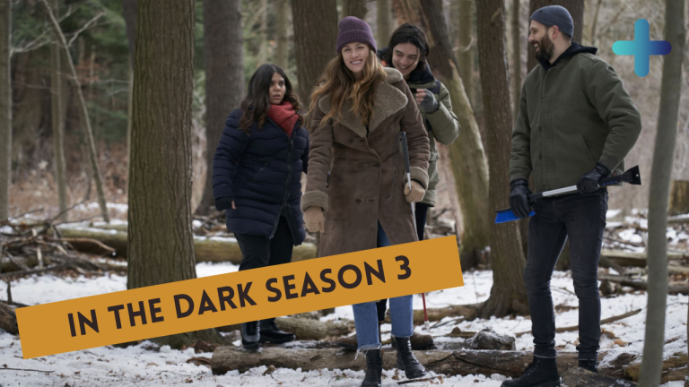 in the dark season 3