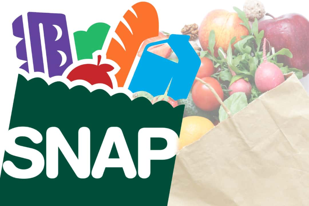 Supplemental Nutrition Assistance Program 