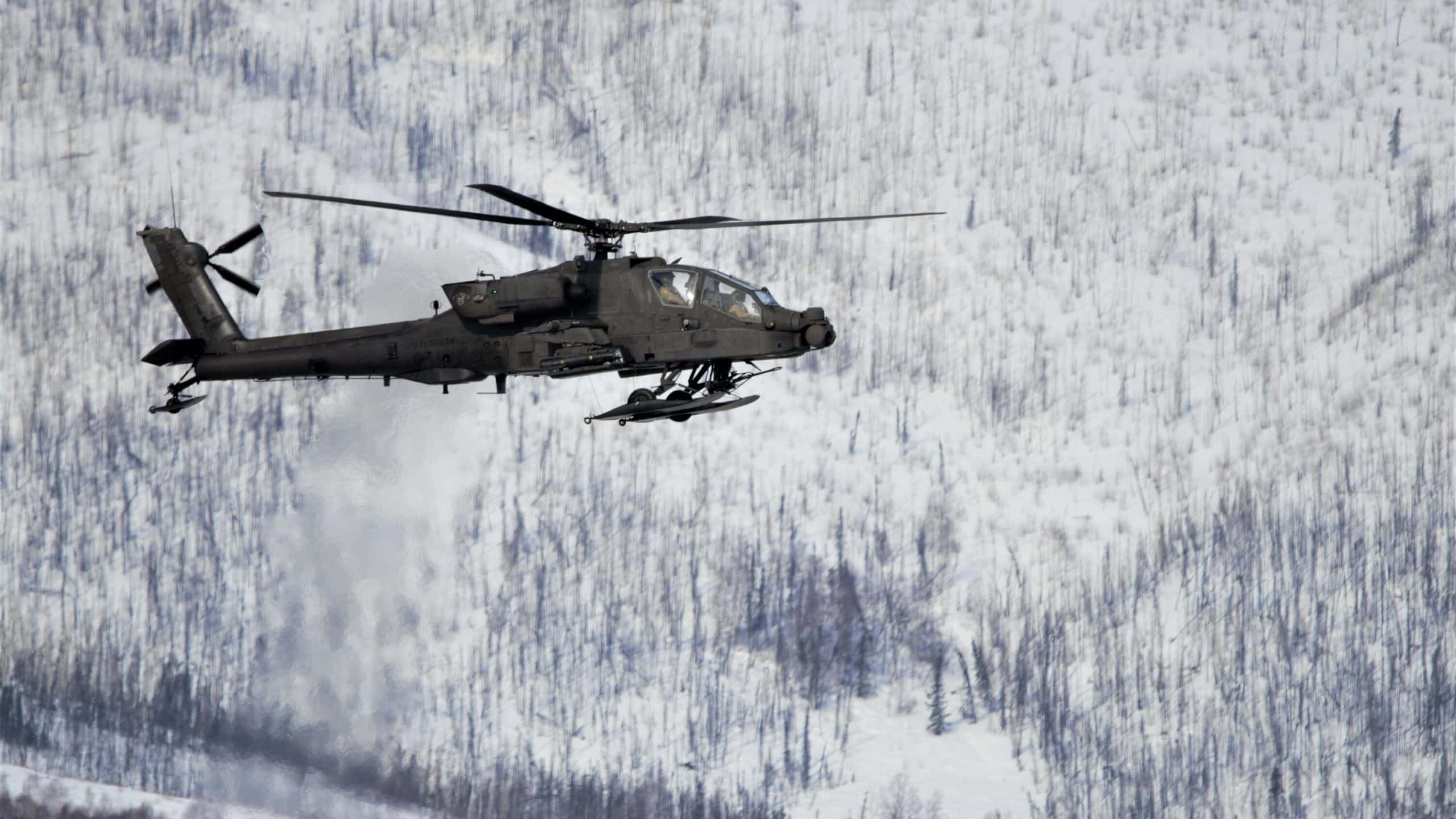 Three US Soldiers Killed in Training Flight Helicopter Collision in Alaska