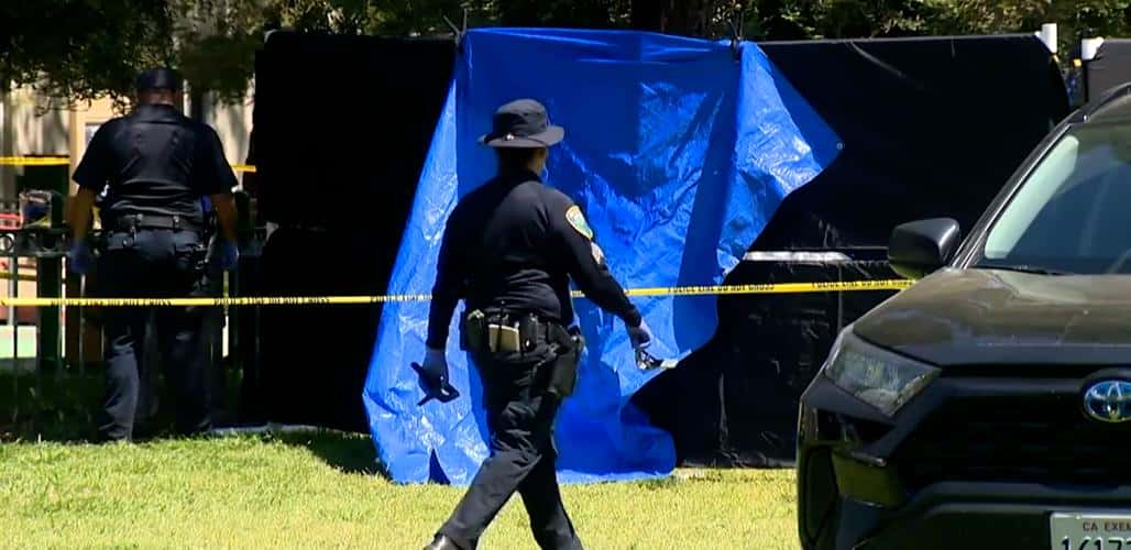 Two Fatal Stabbings Prompt Investigation at California Park