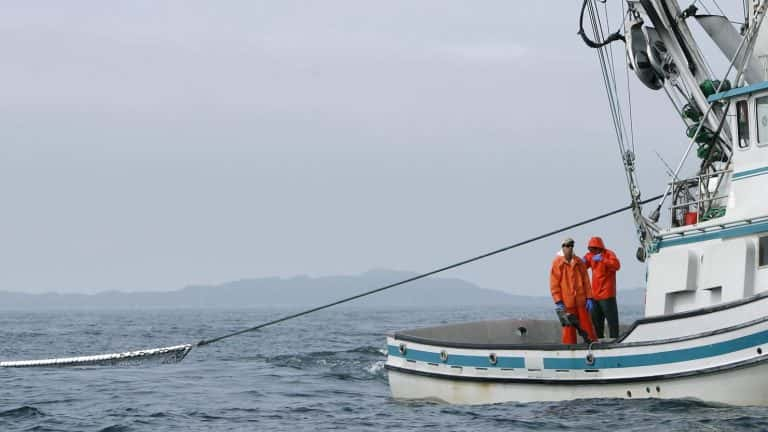 Off the coast of Alaska, a charter boat collapsed with one person killed and four more missing