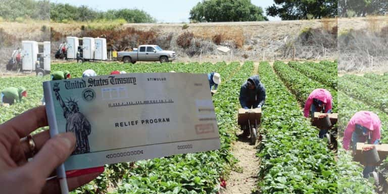 Farm and Food Workers Relief Program