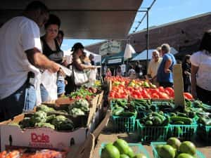 Farm Fresh RI Initiative: Local Farmers and Markets Begin Accepting SNAP Benefits Through Electronic Payments