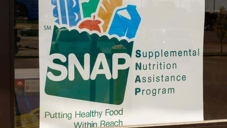 Schedule for Food Stamps: SNAP Payment Distribution in May 2023