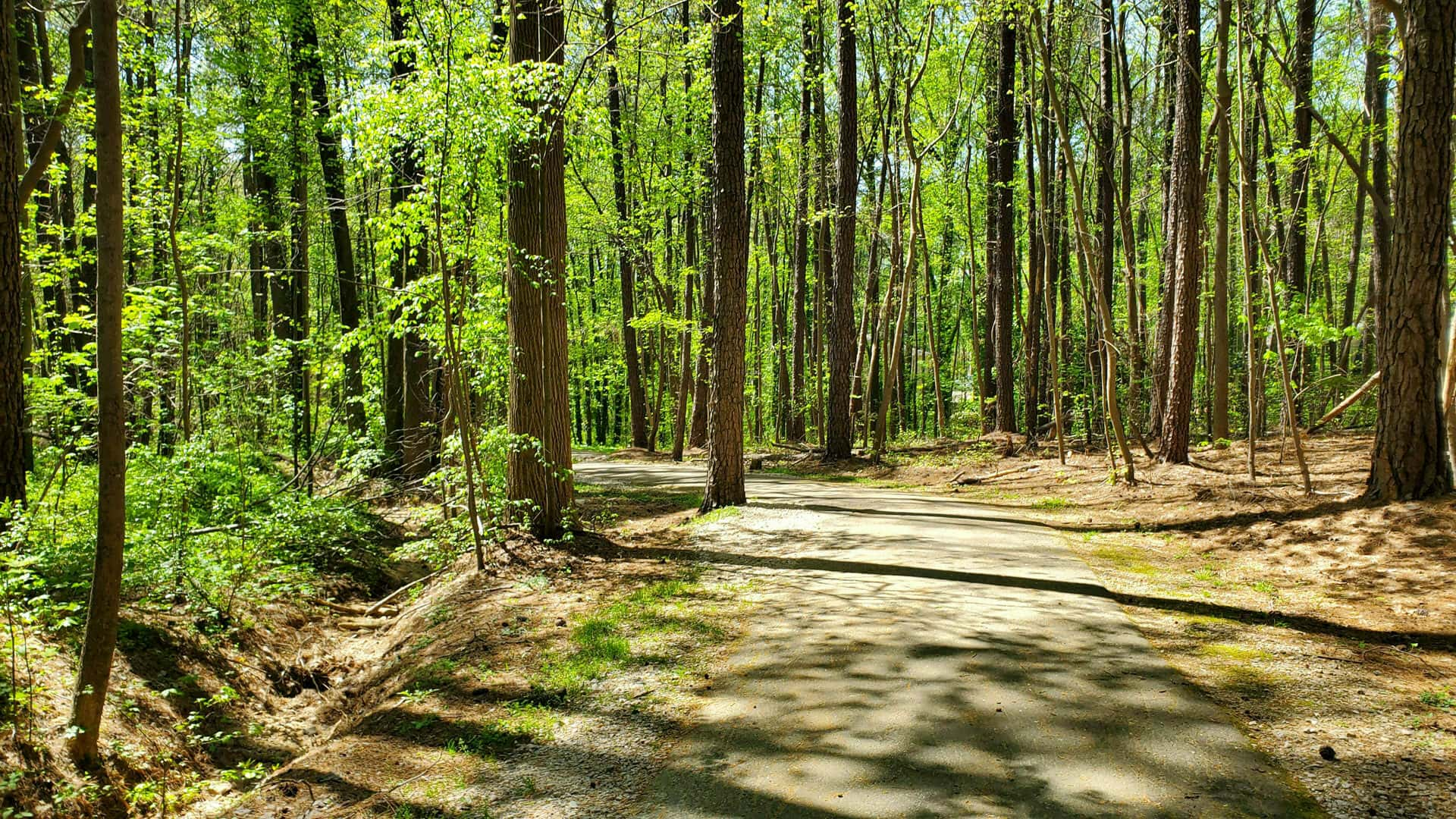 Attack at Lake Johnson Park 