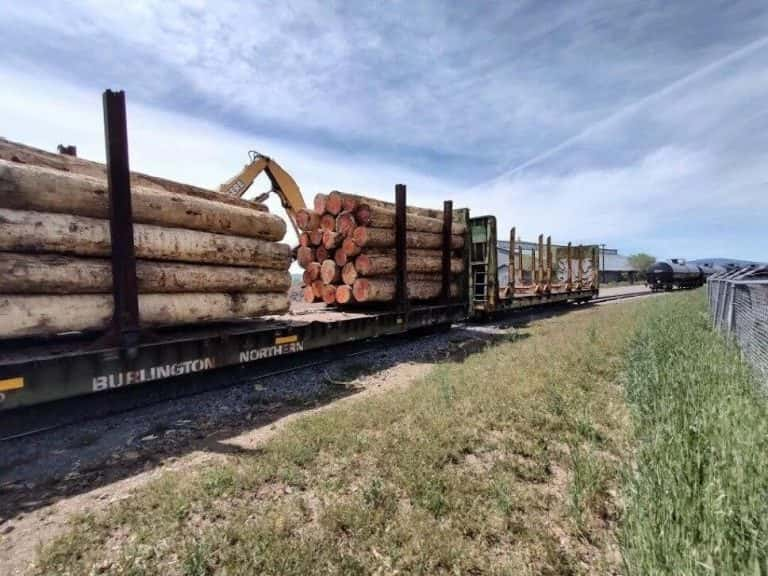 Timber Transit Pilot Program Brings Wildfire Logs Of California To Black Hills Sawmill