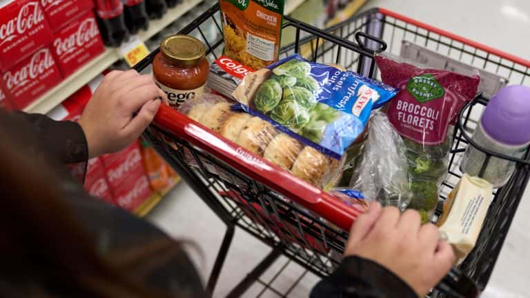 Food stamps: a single state attempting to expand EBT program participation