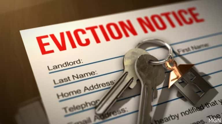 Eviction Filings