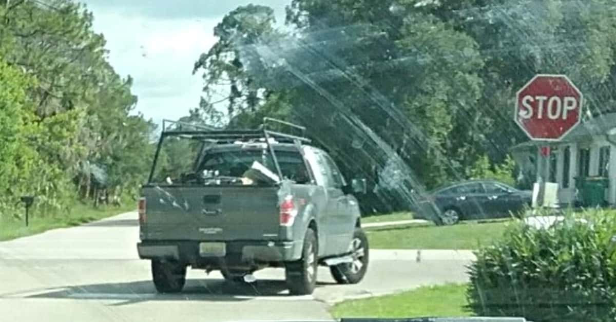 Florida Driver Still At Large Will Be Charged With Animal Cruelty After Caught Dragging Dog From Back Of Truck For Over Half Mile