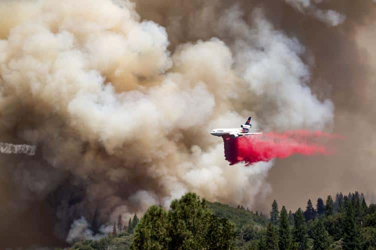 Police Arrested An Alleged Arsonist For Starting A Forest Fire That Burned Over 100 Homes