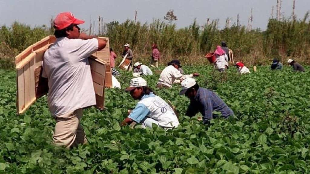 Florida Migrant Workers