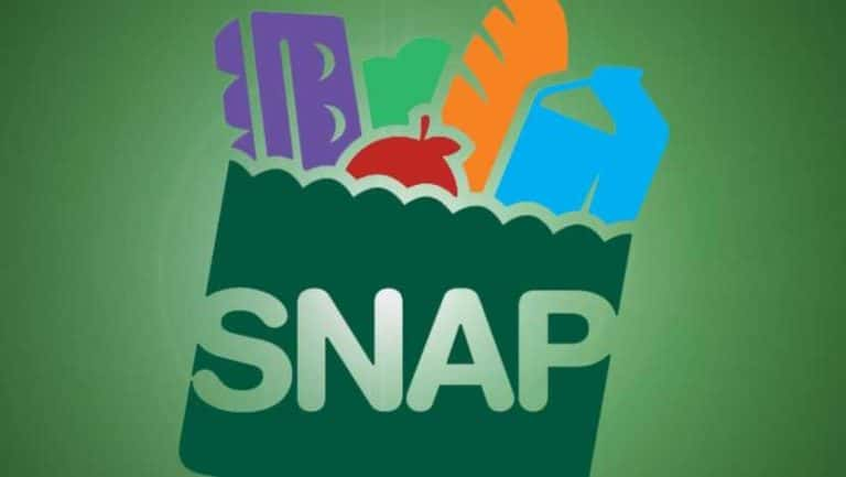 Qualifications for Texas food stamps: How to apply for SNAP?