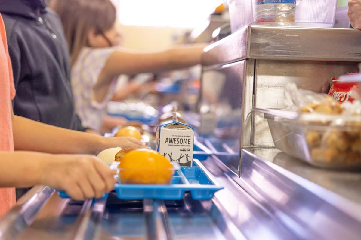 Congress Fails Hungry Students: Bill for Free School Meals Stalled, Leaving Millions in Uncertainty