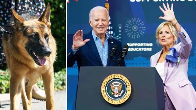 Biden's Dog Commander 