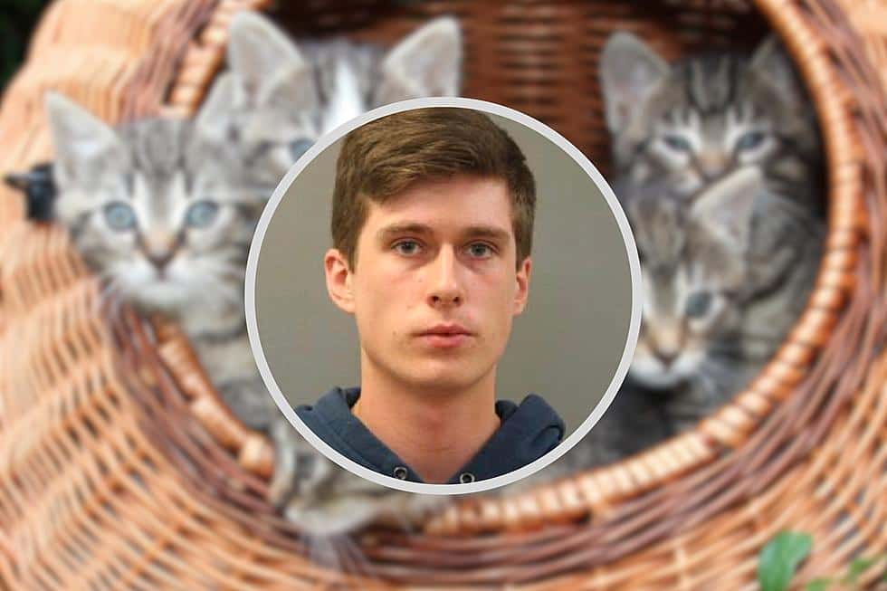 An Illinois Man was Charged with Animal Cruelty for Torturing and Killing Cats by Placing Them in a Microwave.