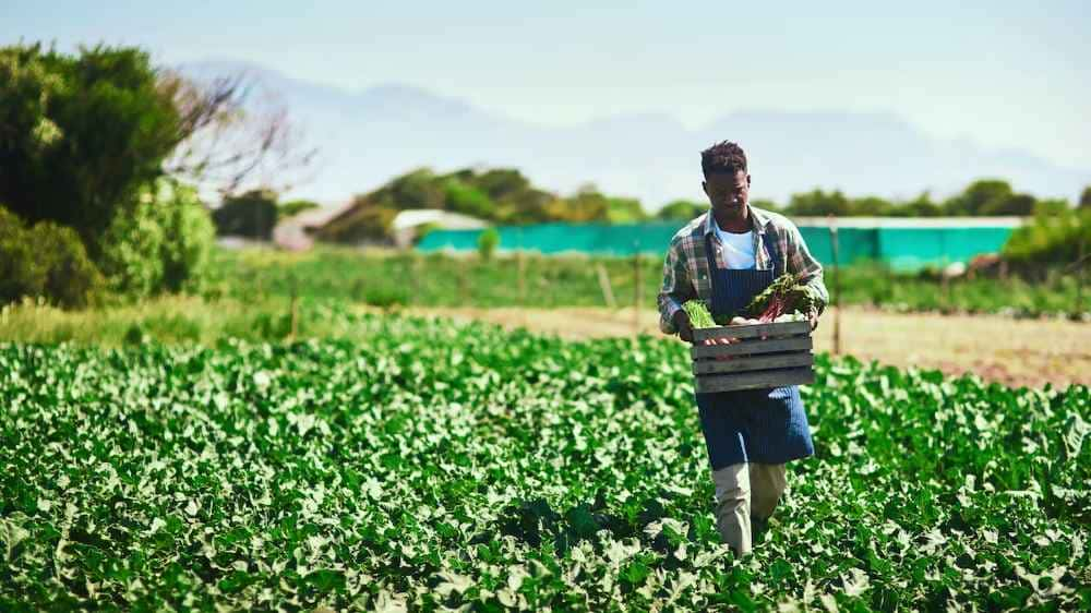 Black Farmers Can Now Apply for Financial Assistance Program