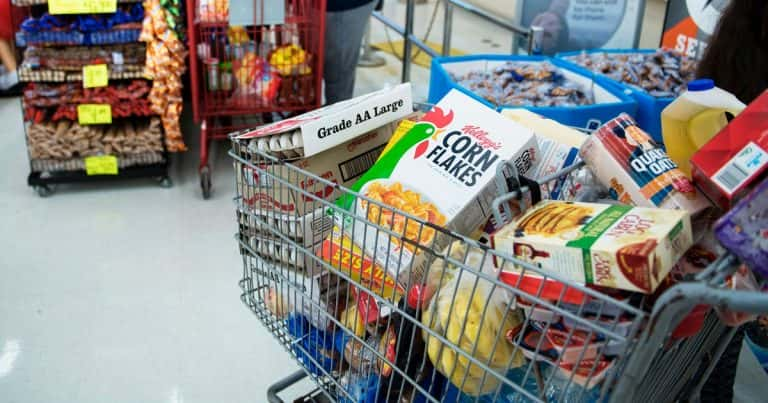 Food Stamps: Will there be an increase in August 2023