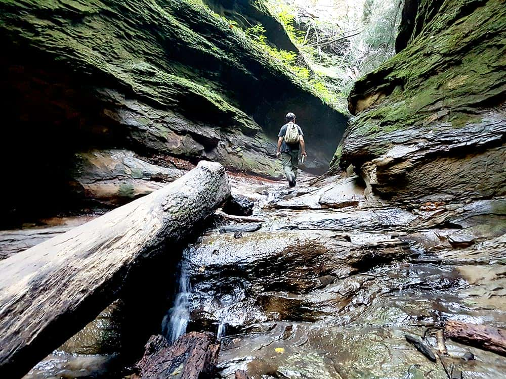 Turkey Run State Park