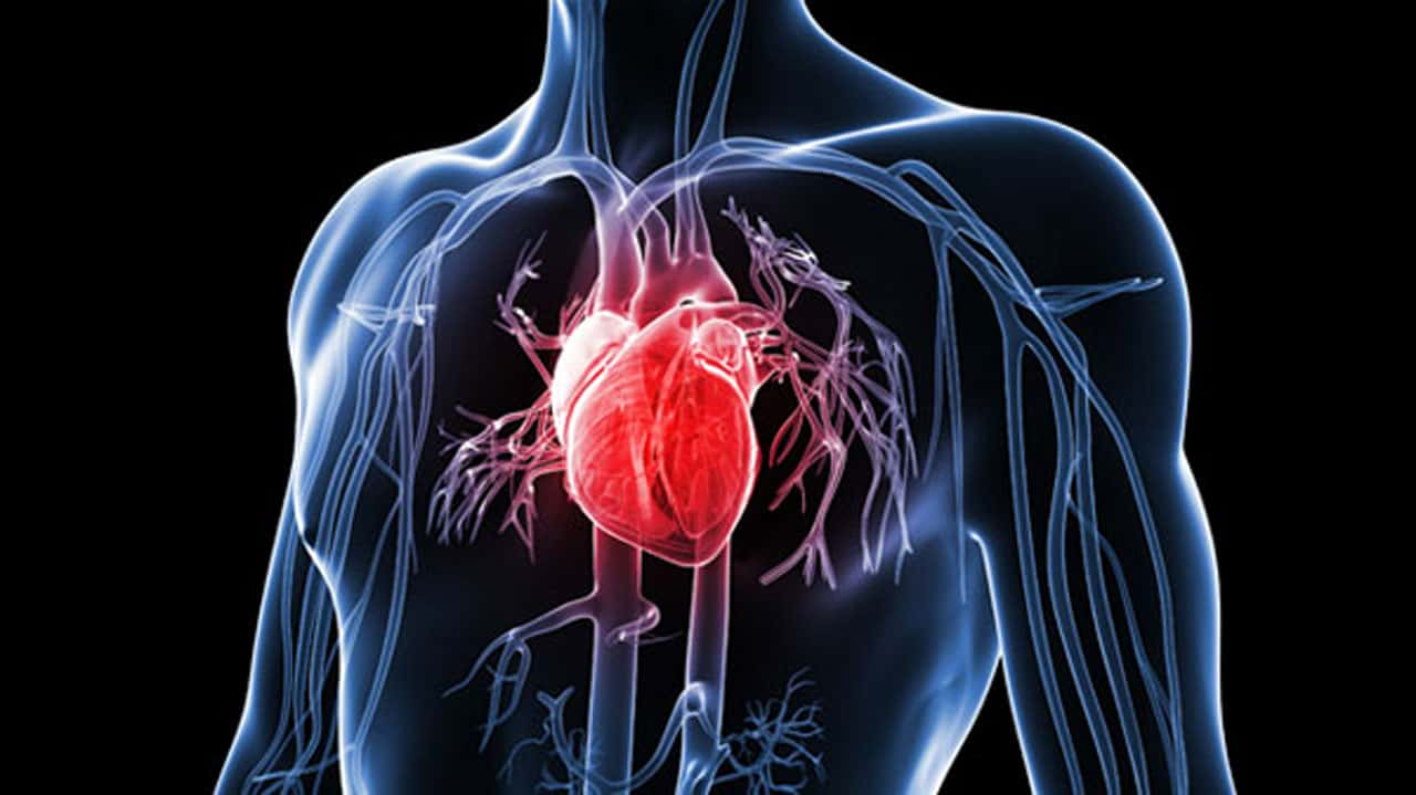 Common Health Problems Linked to Increased Risk of Heart Issues