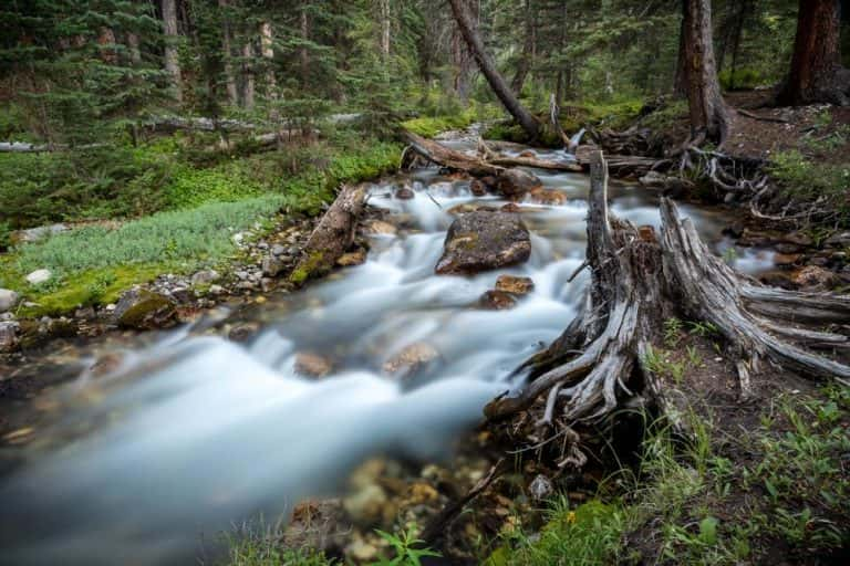 11 Best National Forest In The United States!