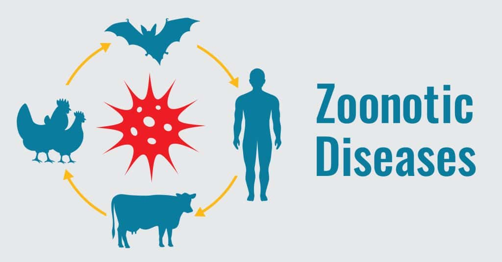 Threats from Zoonotic Diseases Discovered in the US: The Hidden ...