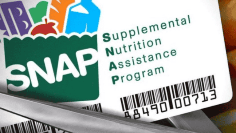 During a power outage, SNAP participants in Michigan may replace spoiled food- This is how