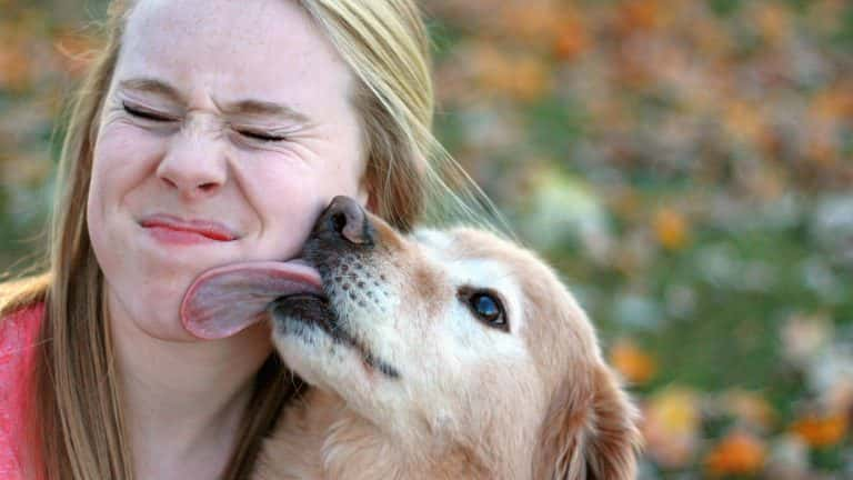 Kissing Pet