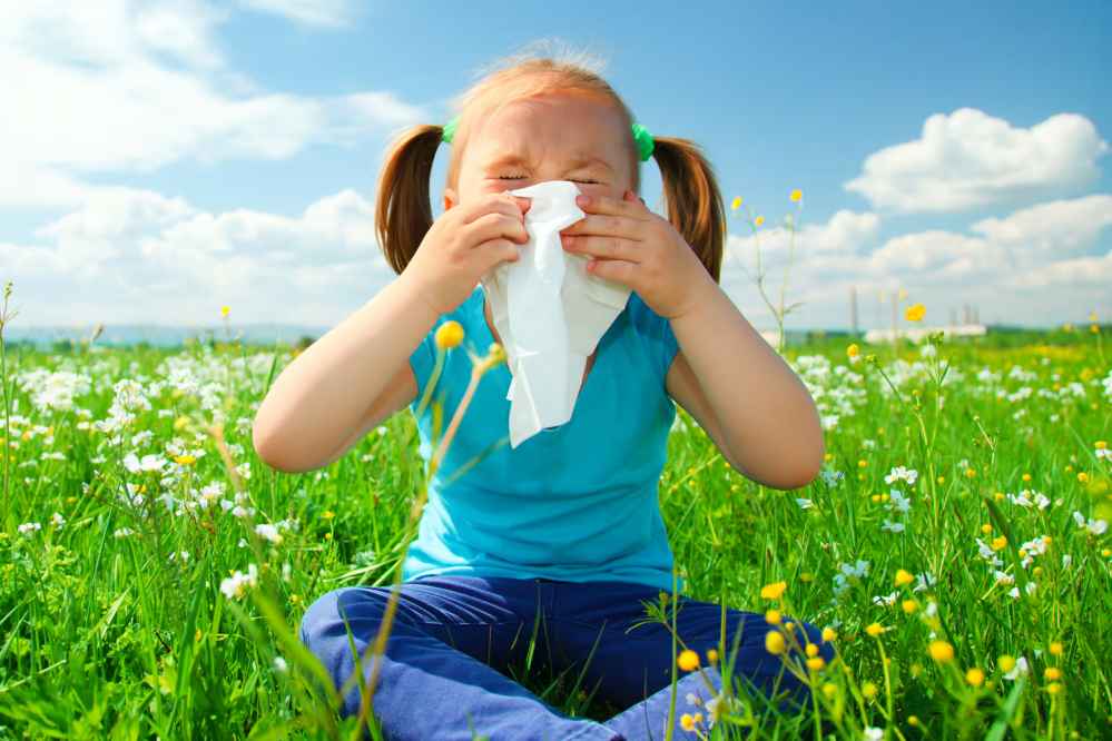 Key in Preventing Childhood Allergies and Asthma