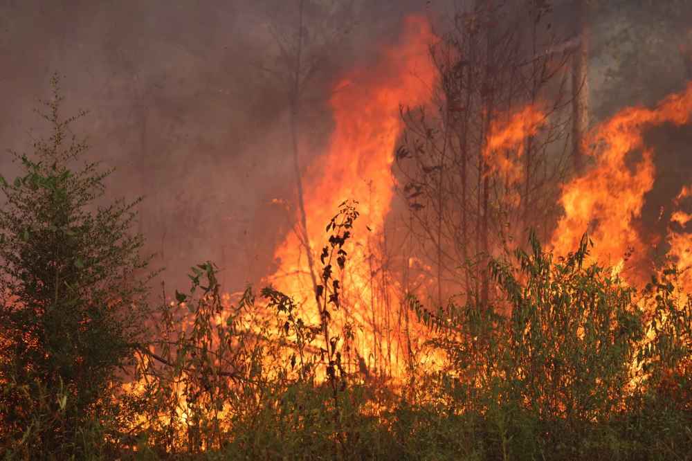 Tiger Island Fire Ruled Arson: Louisiana’s Largest Wildfire Engages Public in Hunt for Suspect