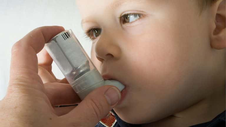 Key in Preventing Childhood Allergies and Asthma