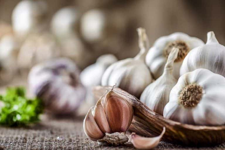 Garlic Health Benefits