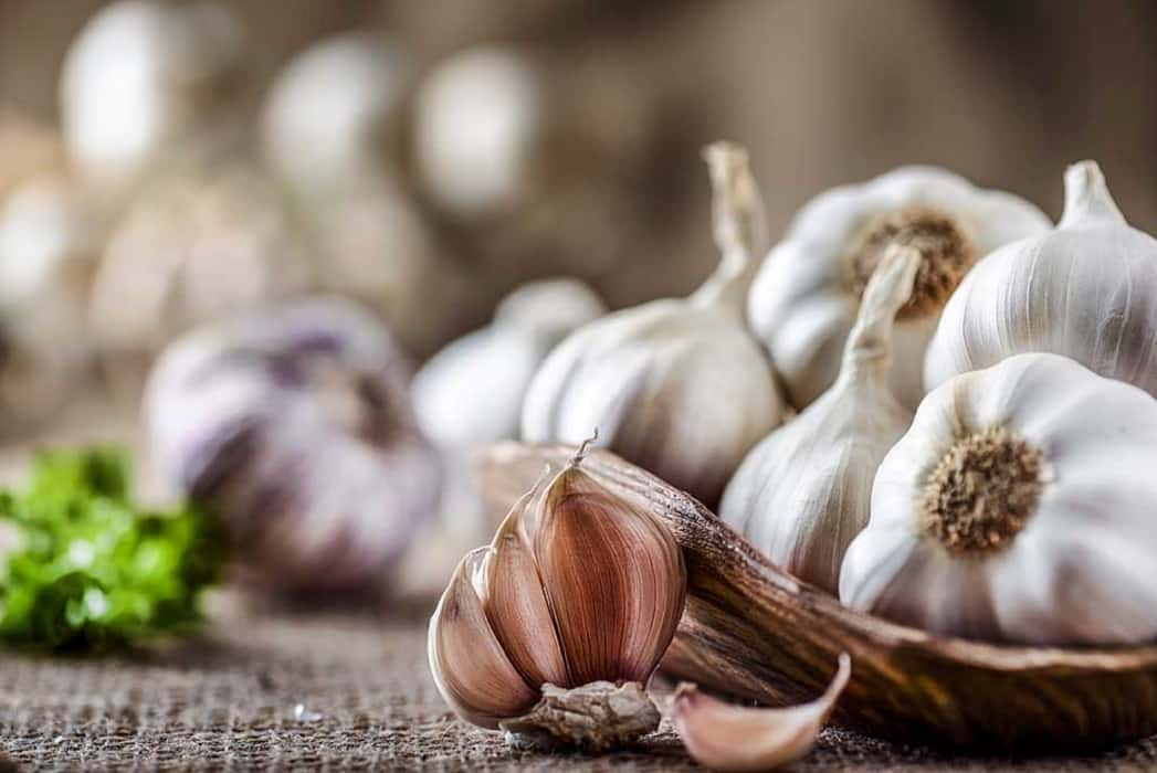 Proven Health Benefits Of Adding Garlic To Your Meals And How It Reduces Risk Of Severe Illnesses