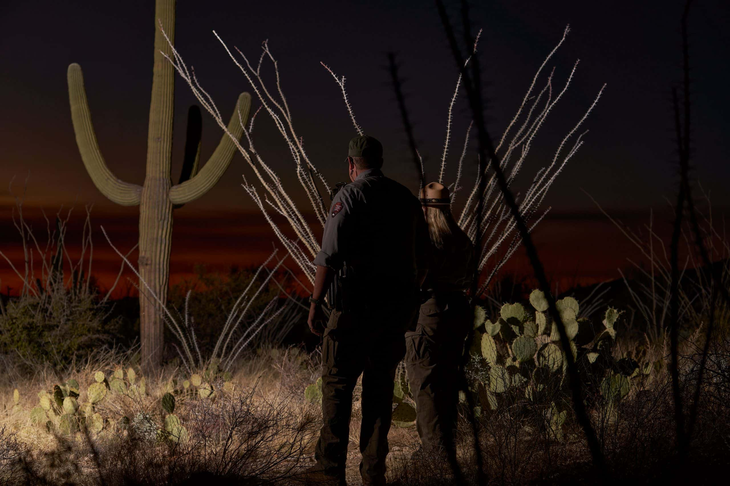 President of the Homeowners Association Leads Community Response to Cacti Theft Surge in Tucson