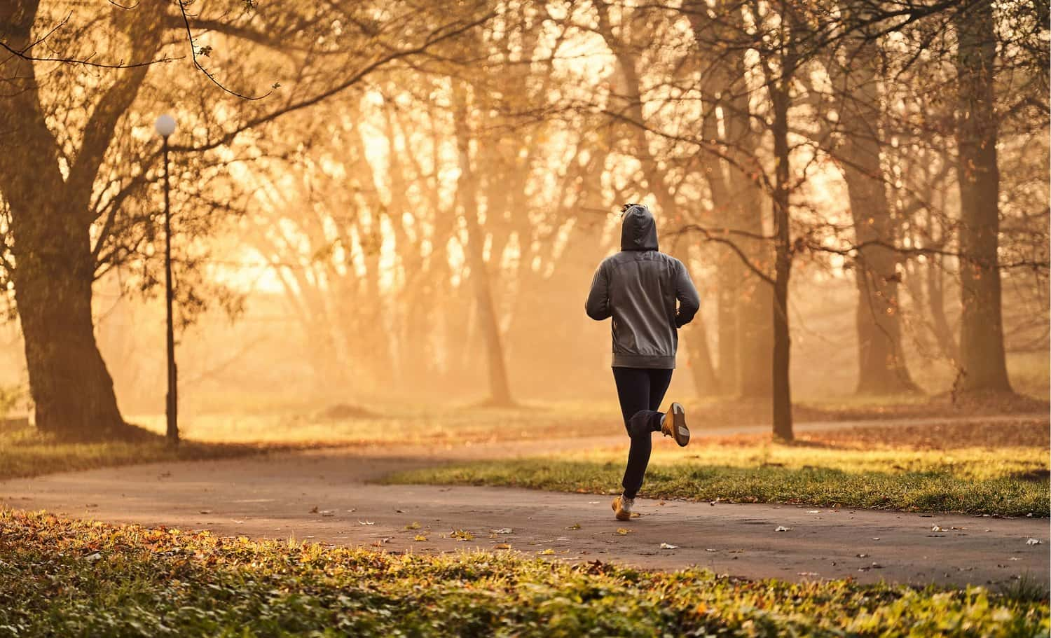 Groundbreaking Study Compares Effects of Exercise and Antidepressants on Mental Health