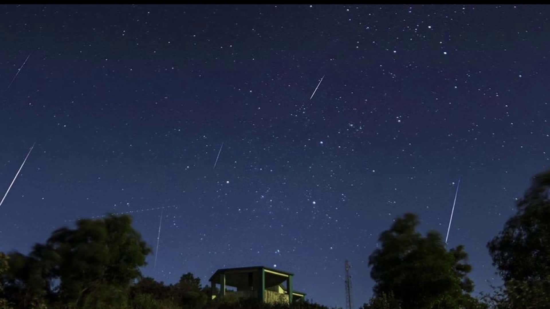 Orionid Meteor Shower Lights Up the Skies as Halley's Comet Debris Puts on a Cosmic Show