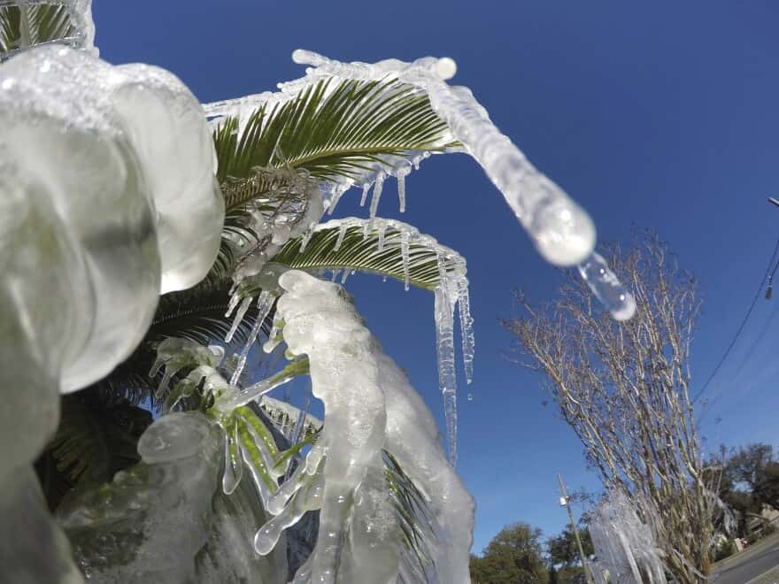 When will Florida experience its first seasonal freeze?