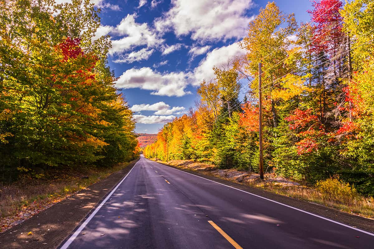 US Fall Foliage Delights Nature Enthusiasts with Spectacular Autumn Colors Across the Nation