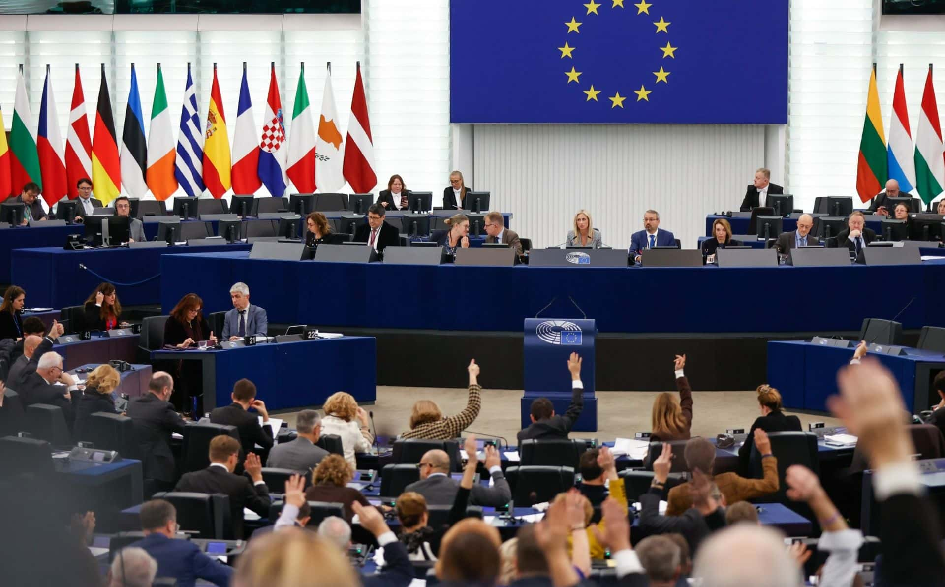 European Parliament Condemns Murder of Georgian Citizen Tamaz Ginturi, Calls for Action Against Russian Occupation in Resolution