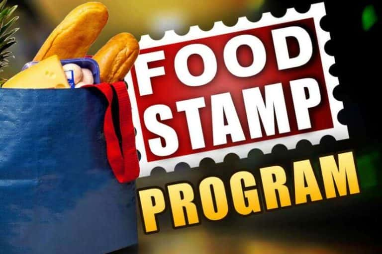 In August, food stamp prices increased by 5%