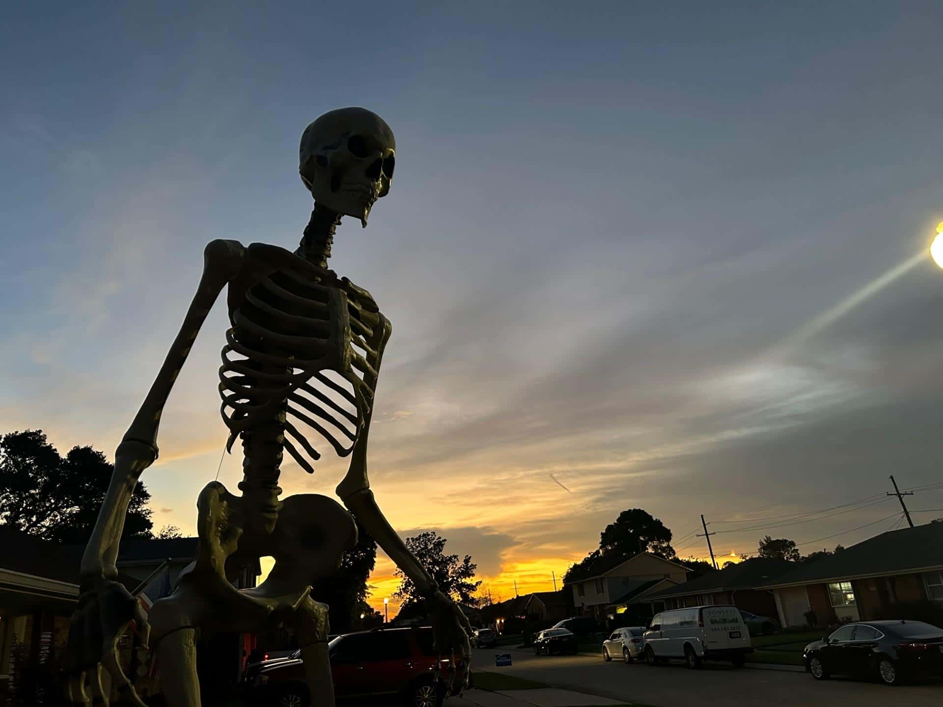 South Carolina Suspect Still At Large After Damaging, Stealing Full-Sized Skeleton Statues On Halloween Eve