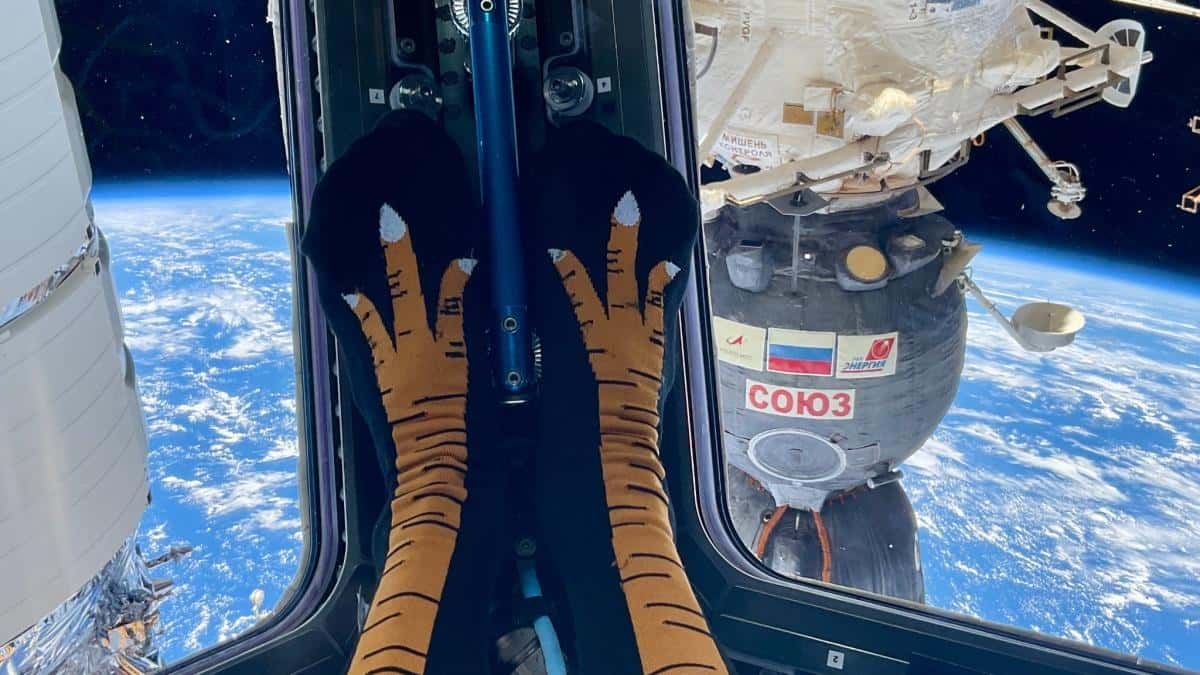 Loral O'Hara Sprinkles Festive Fun in Space with Thanksgiving 'Turkey Feet' Display on the ISS