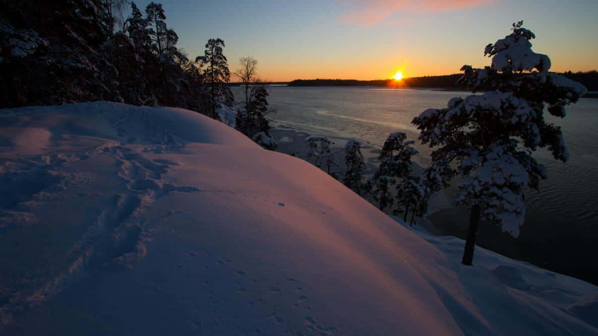 The Winter Solstice Marks the Onset of the Darkest Season, Signaling the Shortest Day and Longest Night of the Year