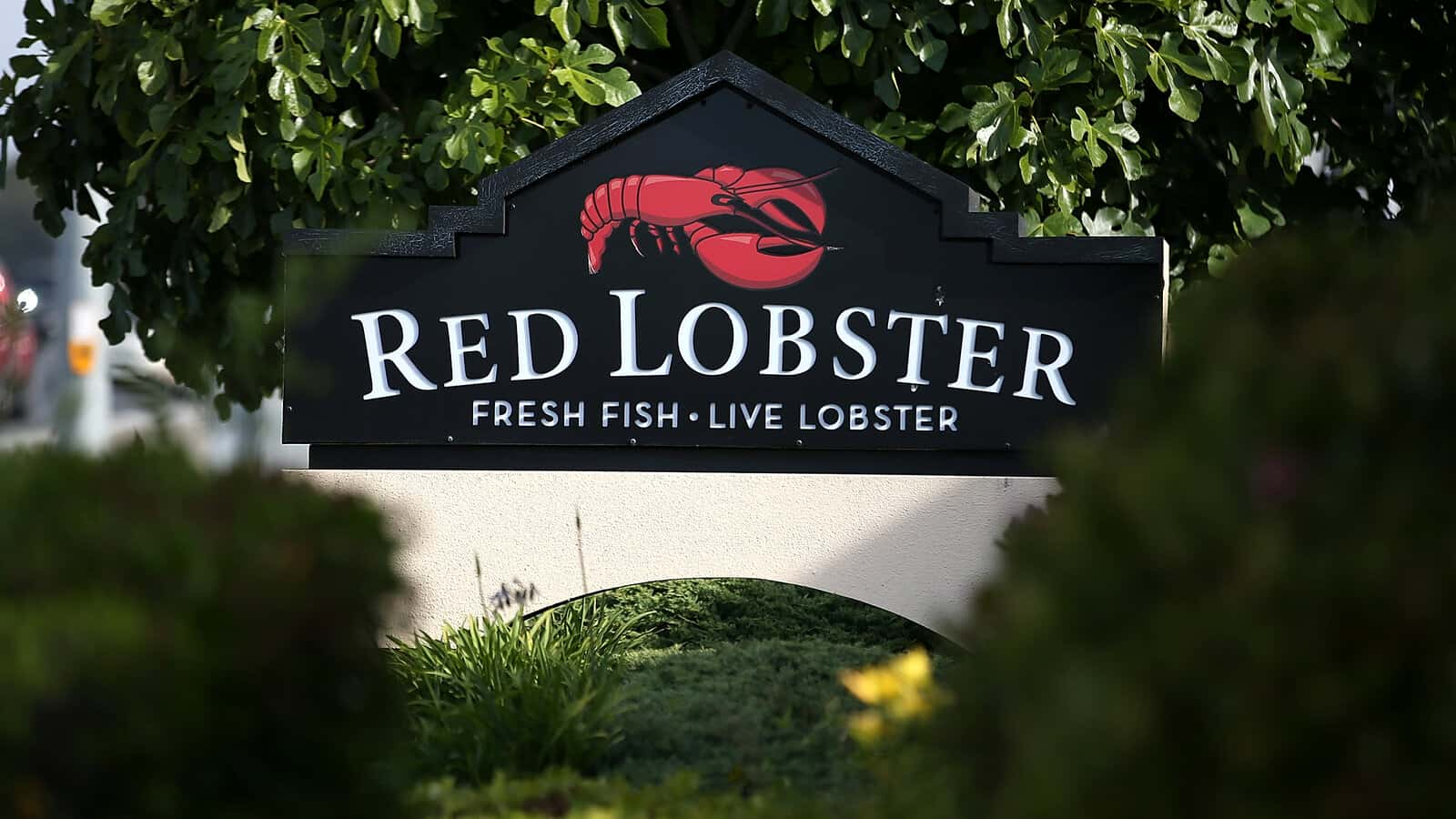 Red Lobster Faces Financial Woes After Endless Shrimp Indulgence