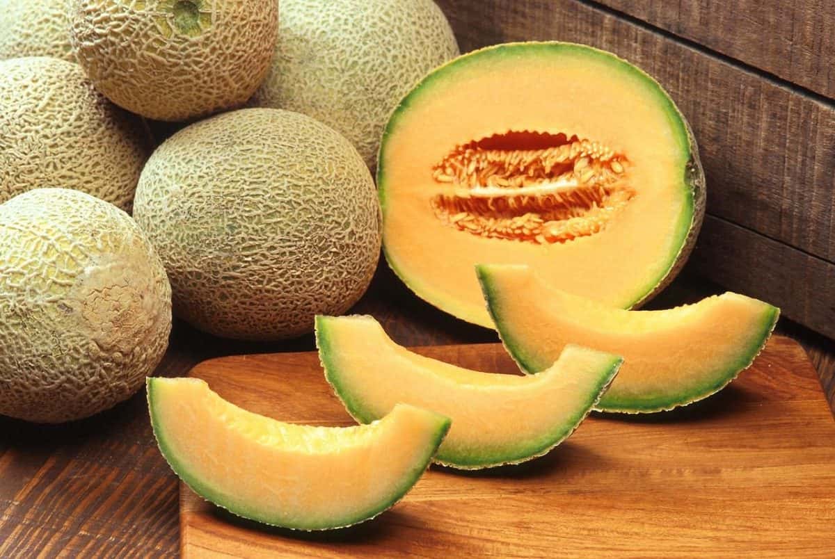 Tainted Cantaloupe Triggers Deadly Salmonella Outbreak, Claims Eight Lives Across U.S. and Canada