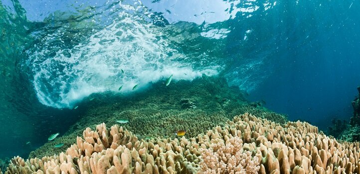 To improve coastal defense against upcoming hurricanes, the US Virgin Islands plan to construct an artificial reef