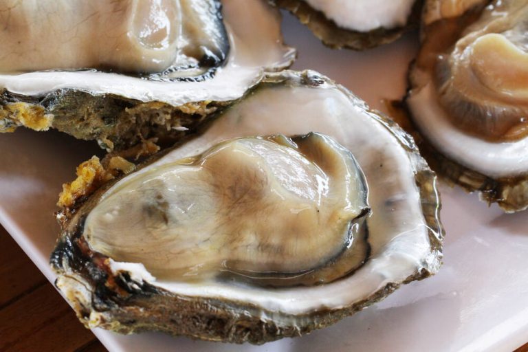 California Officials Issue Warning Against Raw Oysters from Mexico Amid Norovirus Outbreak