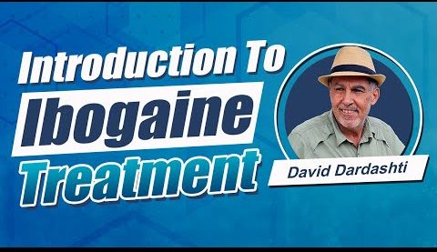 Ibogaine By David Dardashti: How Ibogaine Hydrochloride Impacts Opiate Receptors