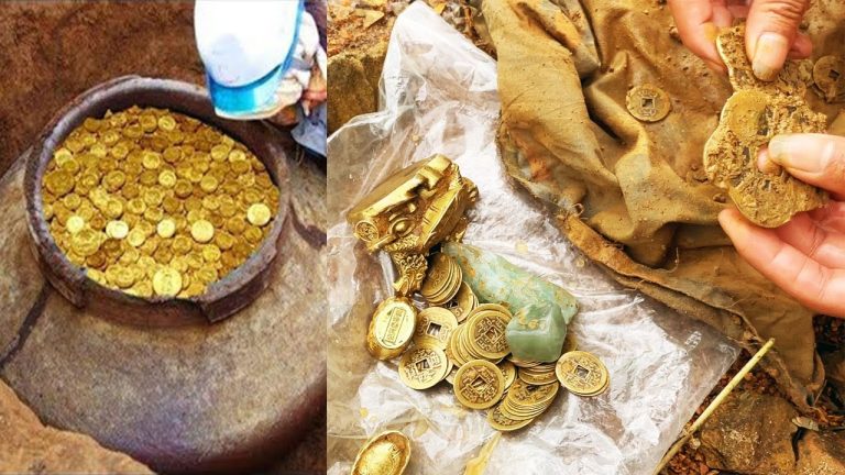 Unexpected Treasures: Lost Hammer Hunt Leads to $2.4 Million Gold Coin Discovery, Shared Fortune with Best Friend