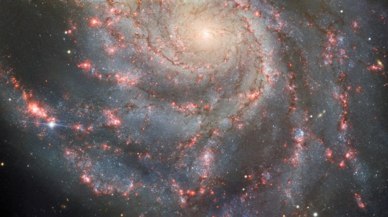 Cosmic Mysteries: Supernovae Revealed as Key Contributors to Black Holes and Neutron Stars