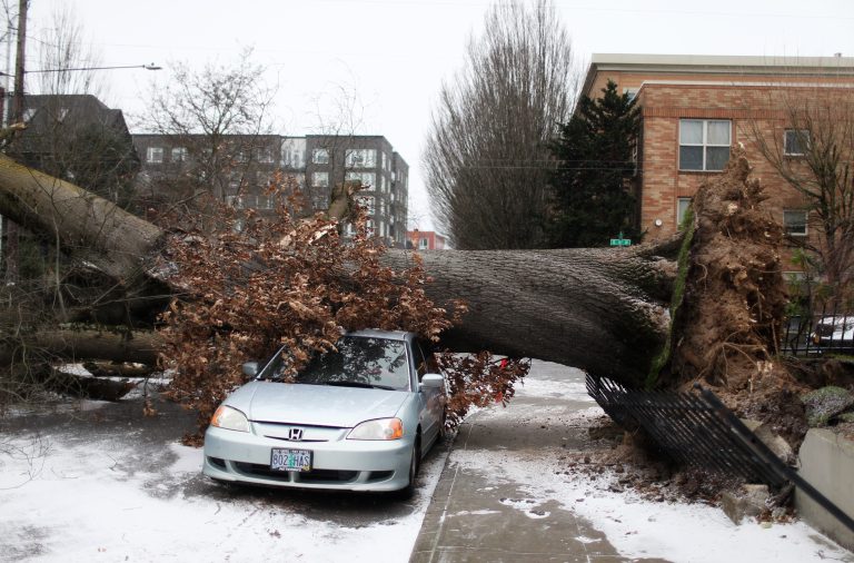 Authorities in Portland, Oregon, issue a state of emergency due to a snowy forecast